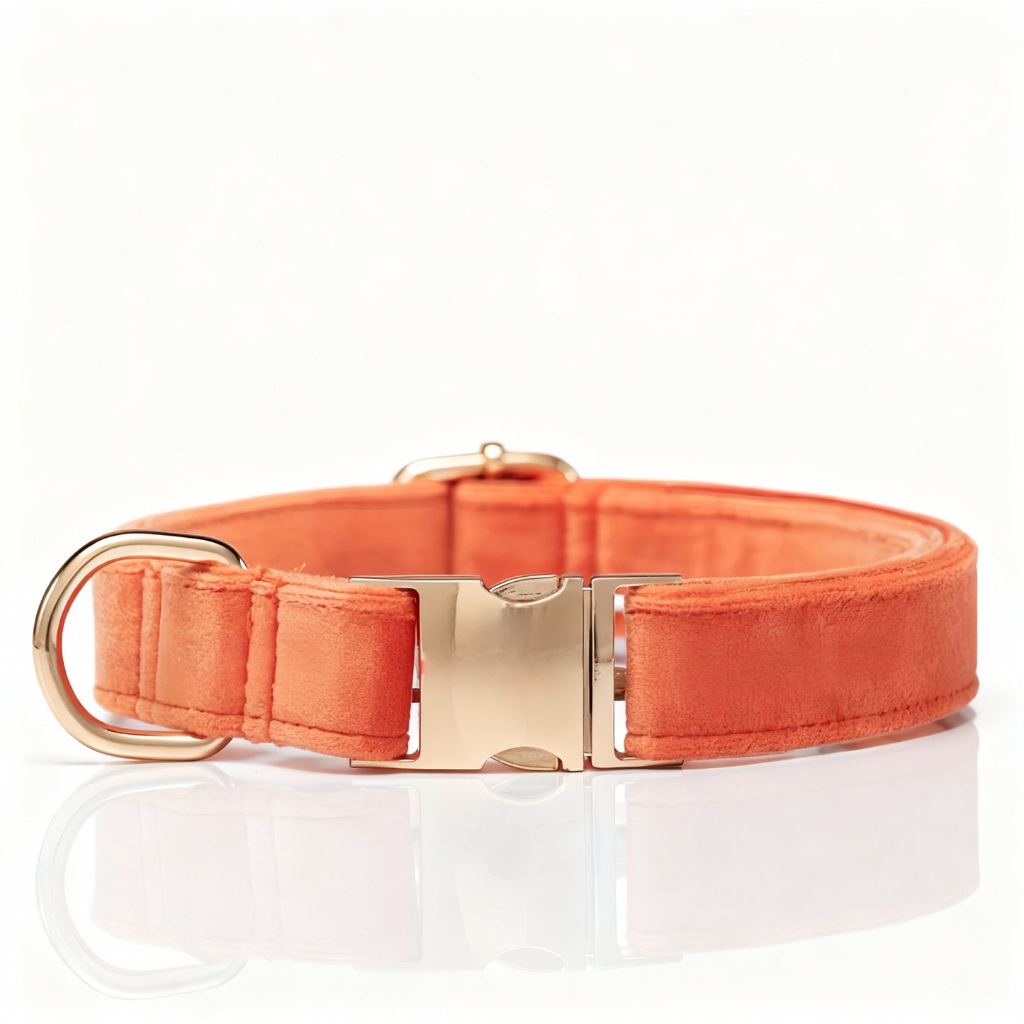 SUEDE SORBET set guinzaglio