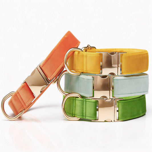 SUEDE SORBET set guinzaglio