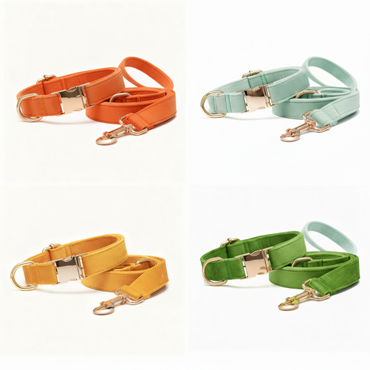 SUEDE SORBET collare